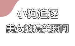 深一点快一猛一点动态图